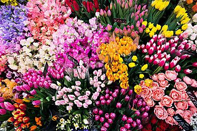 究极机甲定制动作游戏 《BREAK ARTS III》  现已发售 机体定制大赛火热召开中