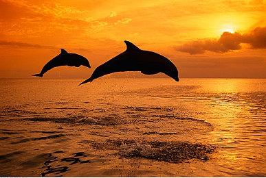 复古风格恐怖游戏“'Tormented Souls”现已在 PS 5 和 Steam 上发布！